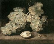 Grape with Walnut d ES, Jacob van